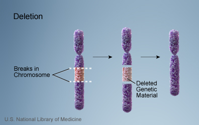 Chromosomaldeletion.jpg