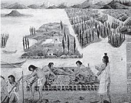 Kipkis.com-what-was-aztecs-main-occupation.jpg