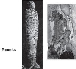 Kipkis.com-what-do-you-know-about-mummification-.jpg